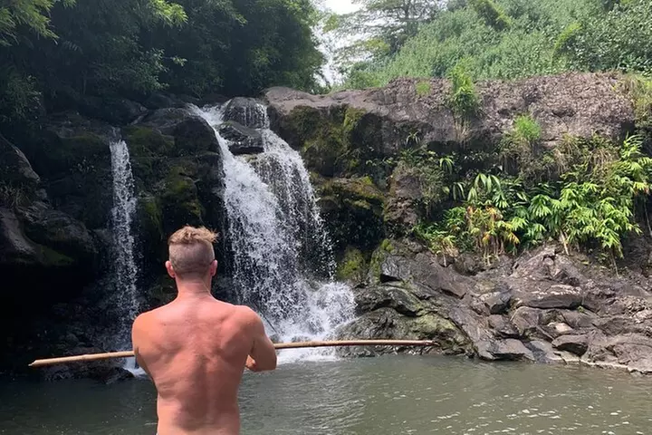 Full-Day Road to Hana and Waterfall Tour - Primary Image