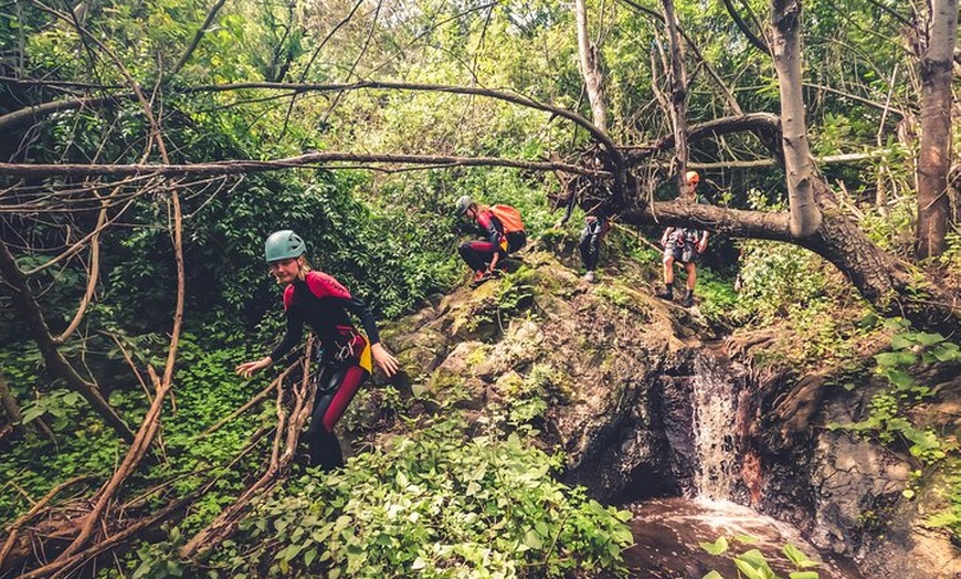 Image 5: Barranquismo en el Bosque de Laurisilva ツ