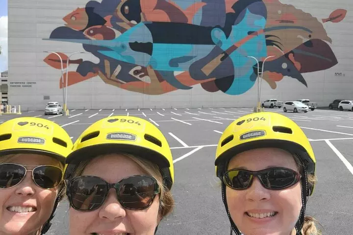 Electric Bike Art and Architecture Guided Tour in Jacksonville