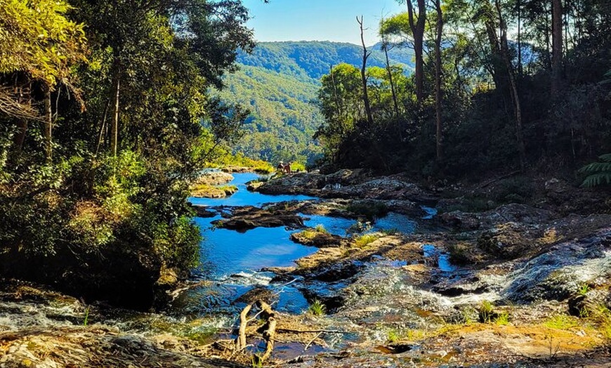 Image 16: Gold Coast Day Tour From Brisbane