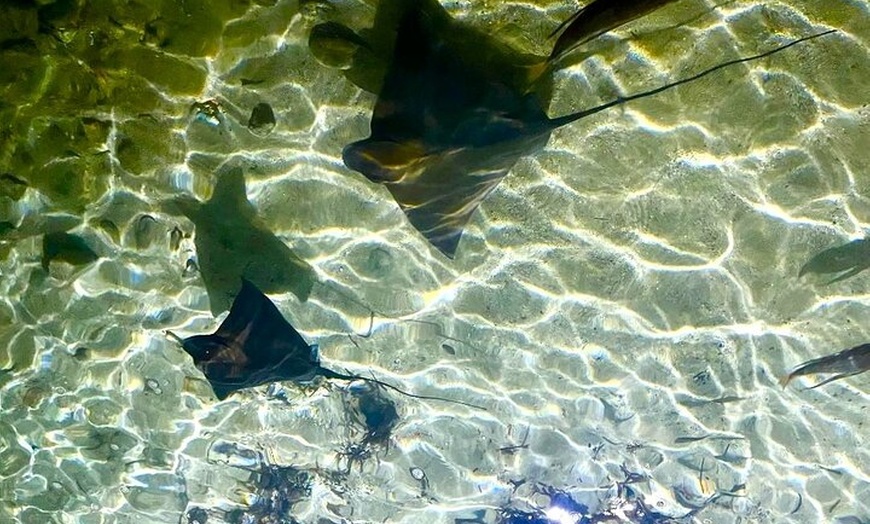 Image 10: Excursiones y retiros personalizados en Ibiza