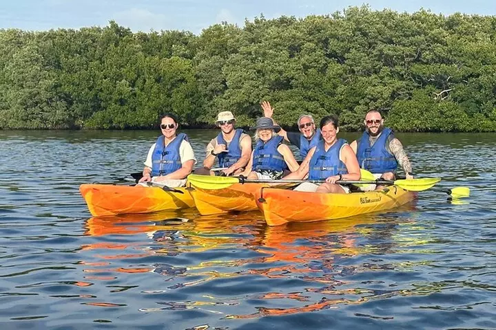 Sunset Kayaking with Dolphins