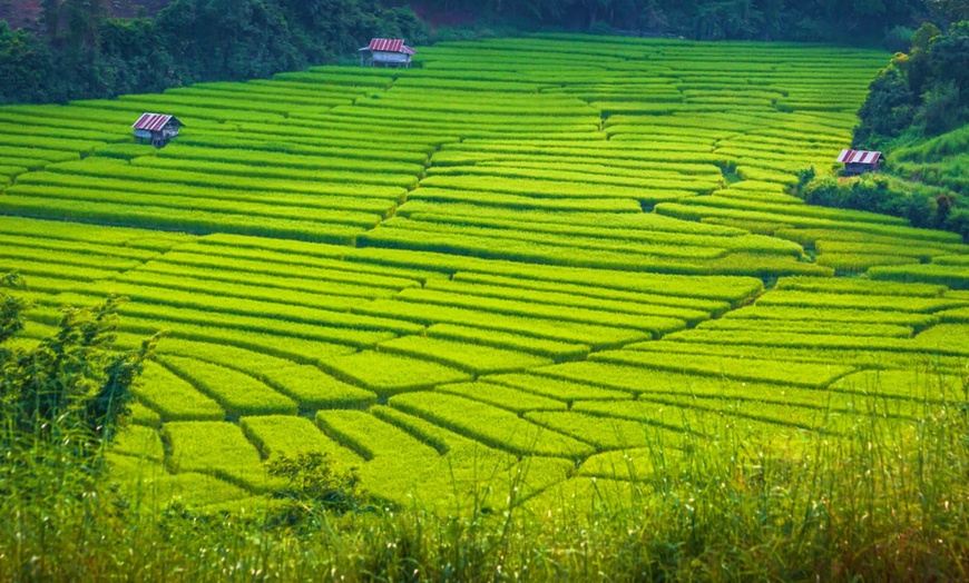 Image 19: ✈ THAÏLANDE | De Bangkok à Krabi Noi - Les perles de Thailande 4* -...