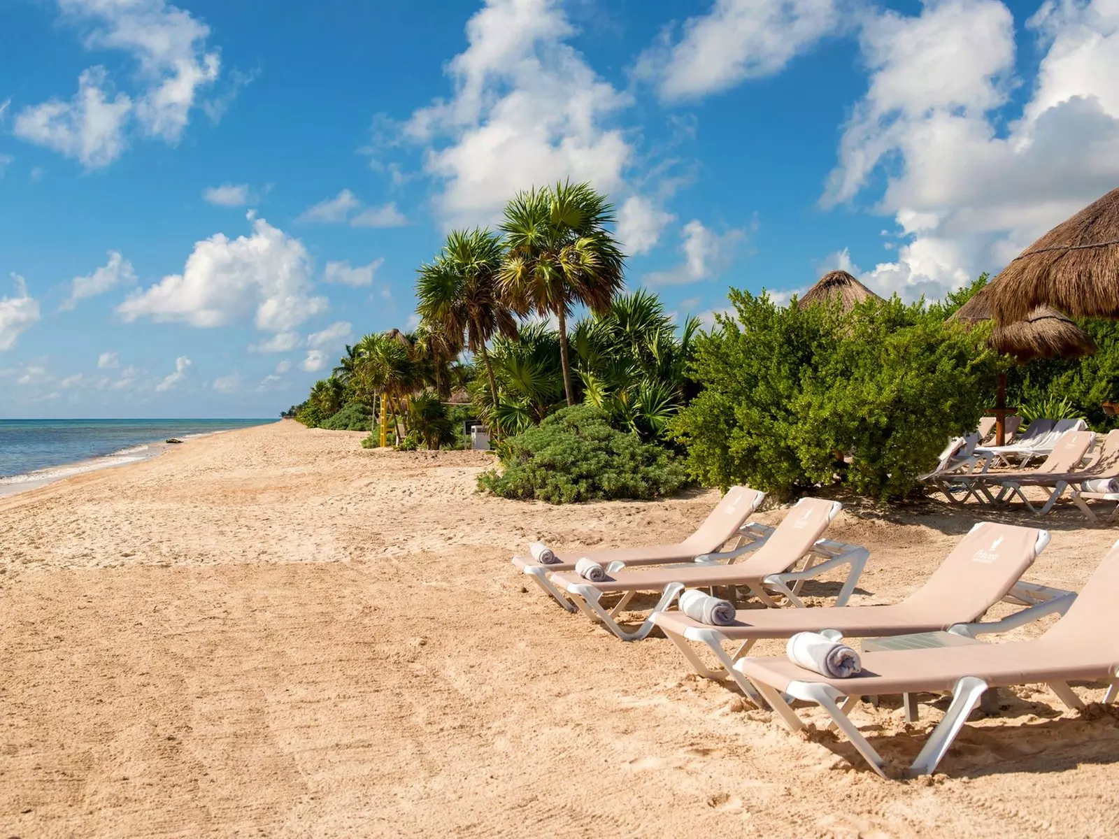 ✈ MESSICO | Playa del Carmen - Platinum Yucatan Princess Adult Only...