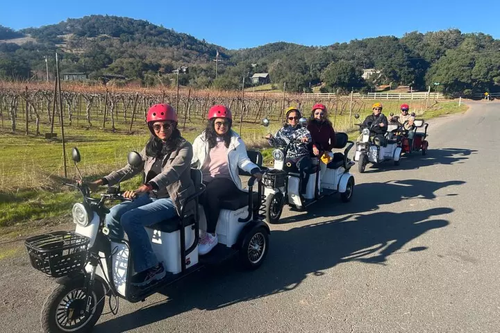 Sonoma Wine Country Electric Trike Tour - 3 hours - Primary Image