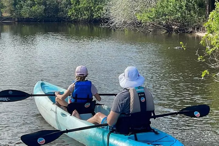 Wildlife Refuge Manatee, Dolphin & Mangrove Kayak or Paddleboarding...