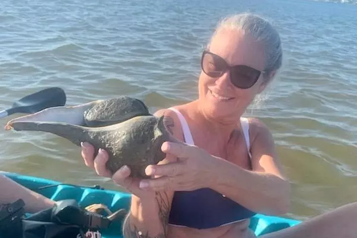Dolphin and Manatee Kayak Tour of Daytona Beach