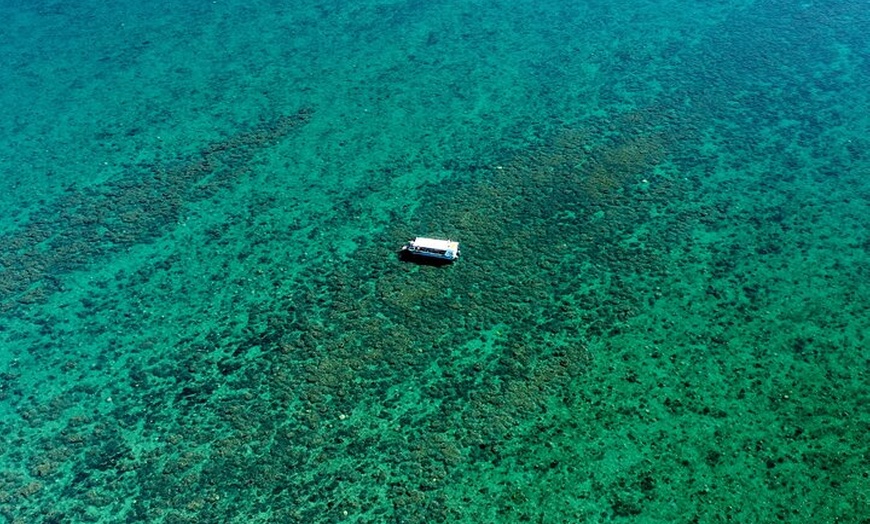 Image 11: Turtle Discovery & Great Sandy Marine Park Adventure