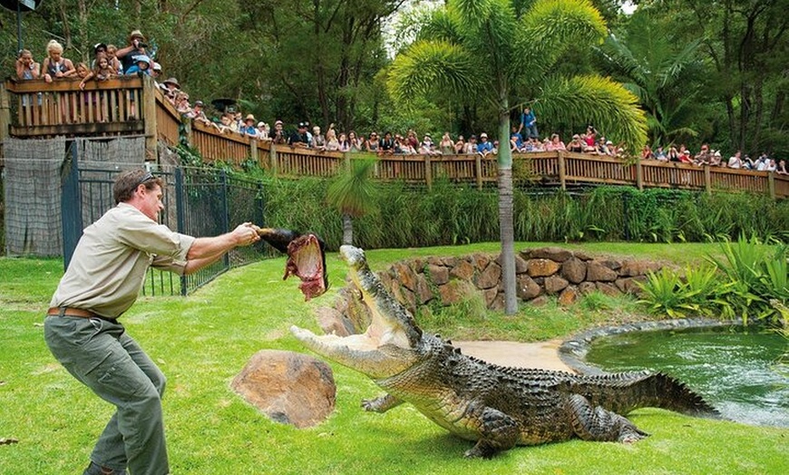Image 2: Currumbin Wildlife Sanctuary and Byron Bay Day Tour in Chinese