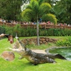 Image 2: Currumbin Wildlife Sanctuary and Byron Bay Day Tour in Chinese