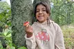 Mushroom Tour from Mexico City - Second Medium