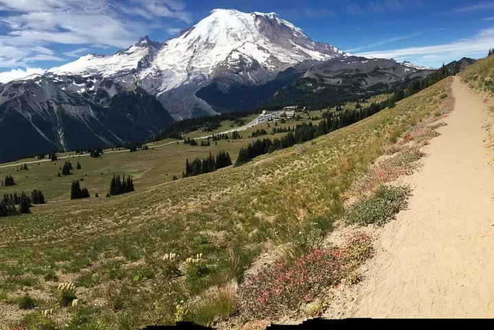 Mt. Rainier Day Tour from Seattle