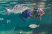 Jungle Tour with Snorkel in Cancun - Second Medium