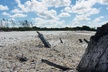 Shelling Tours - Fort Myers Beach / Naples - Second Medium