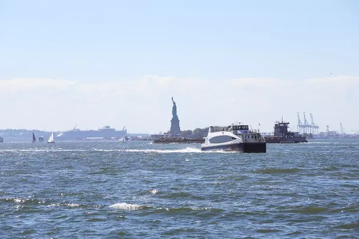 Highlights of New York City Guided Bike Tour (English or Dutch)