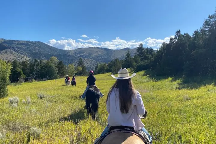 Blue Flower Trail Ride