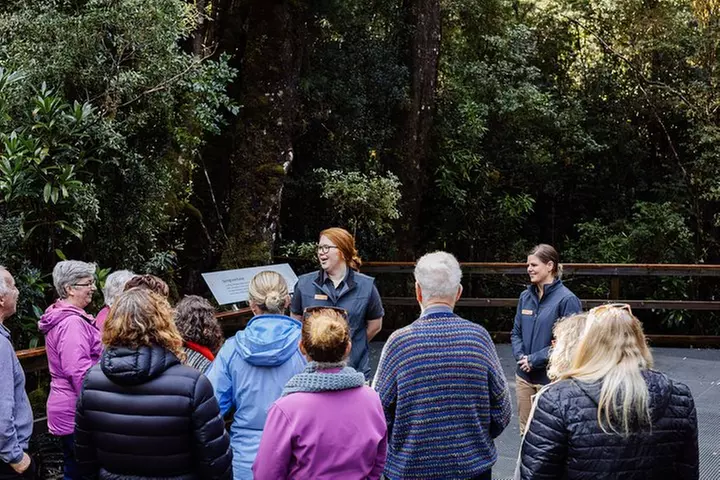 Gordon River Cruise departing from Strahan - Primary Image