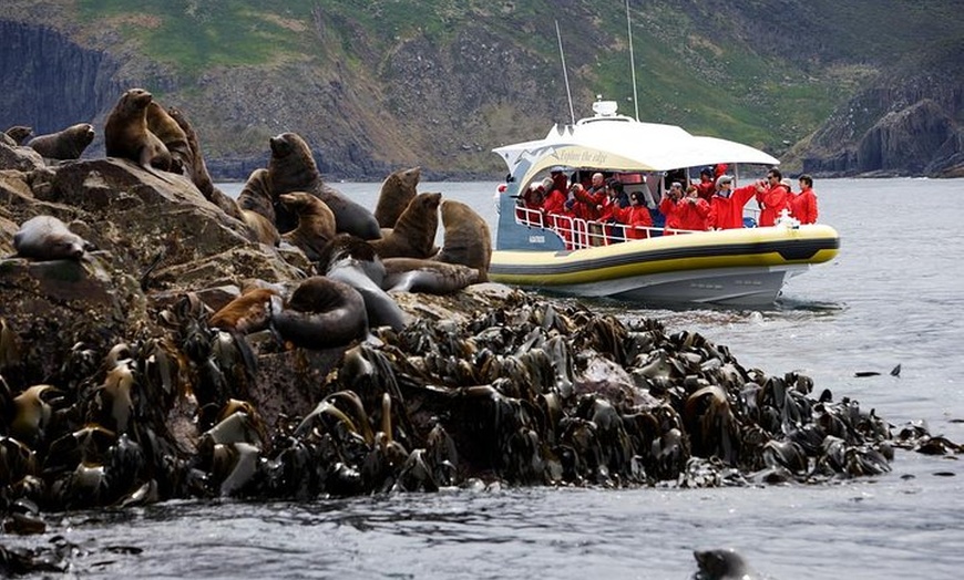 Image 1: 3-Hour Bruny Island Cruise from Adventure Bay, Bruny Island