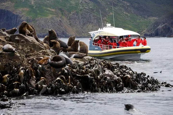 Bruny Island Wilderness Cruise from Adventure Bay, Bruny Island
