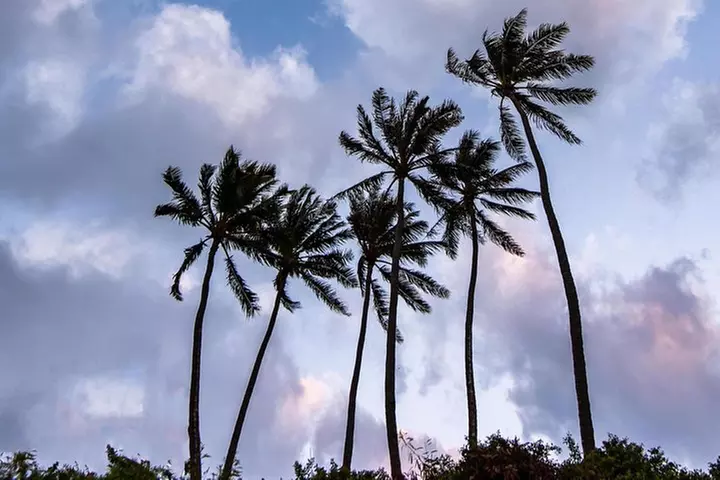 Honolulu Sea-Cliff with Sunset Photo Adventure