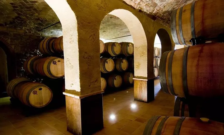 Image 2: Excursión privada de experiencia de cava en el Penedès desde Barcelona