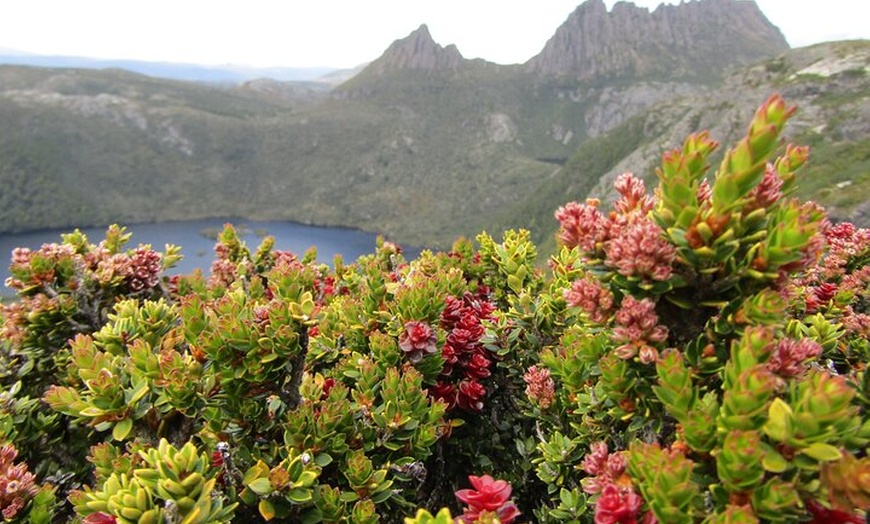 Image 12: Cradle Mountain Active Day Trip from Launceston