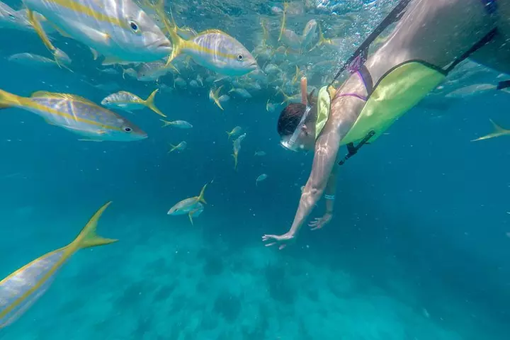Key West Afternoon Snorkel Sail with Unlimited Cocktails!
