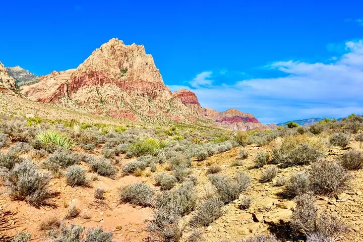 The Ultimate Red Rock Canyon Scenic Experience