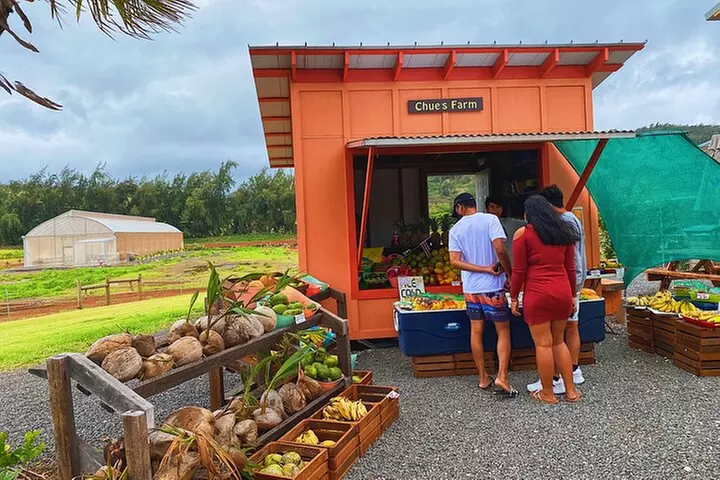 Diamond Head Hiking and Oahu Island Experience feat. North Shore
