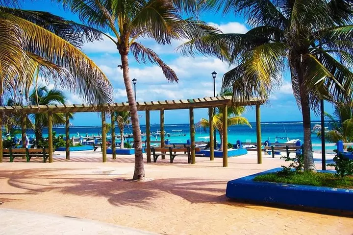 Snorkel in the second largest reef in the world Colorful tour in Pu...