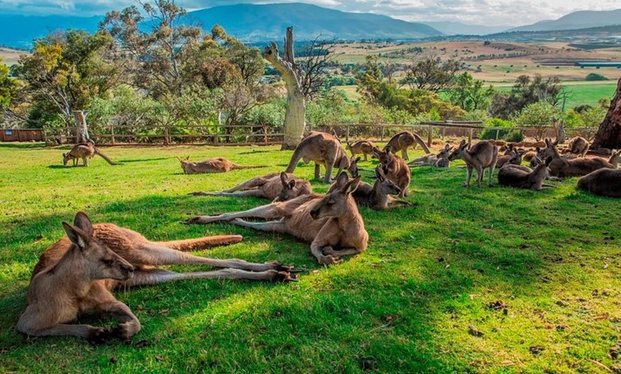 Image 2: Hobart Highlights Day Tour