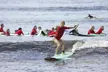 Group Surfing Lessons Kool Katz 1 day - Image 3