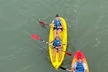 Dolphin Kayak Tour in Virginia Beach Must know how to swim - Second Medium