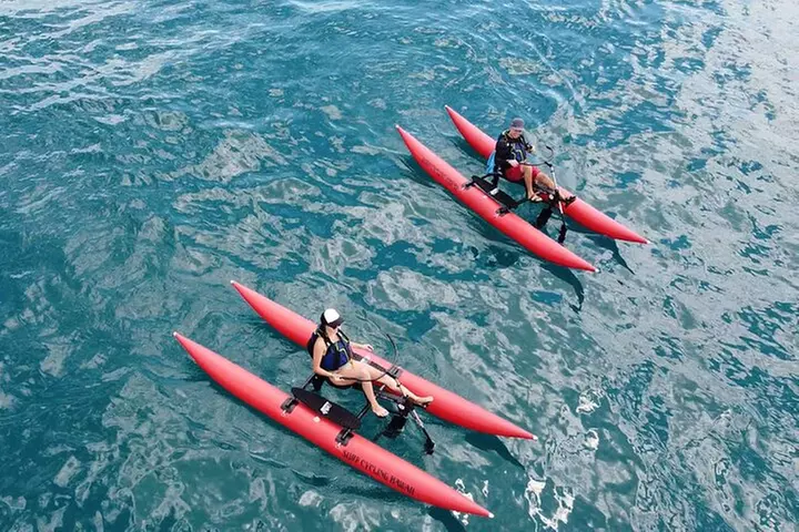 Water Bike Tour in Maui - Primary Image
