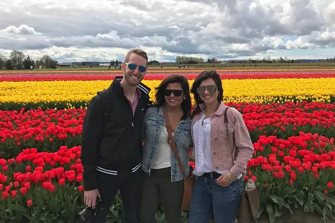 Skagit Valley Tulip Festival Tour with Local Wine & Cheese from Seattle - Primary Image