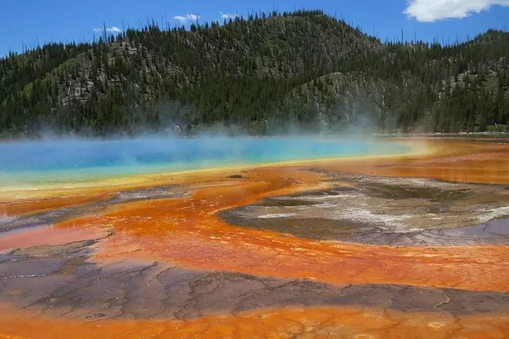 Yellowstone National Park - Full-Day Lower Loop Tour from West Yell...