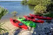 Kayak Dolphin Eco Tour - Second Medium