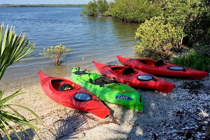 Indian River Lagoon Preserve Kayak Tour - Primary Image