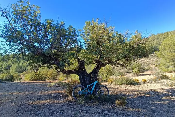 Valencia: Tour de montaña en bicicleta eléctrica con recogida en el...
