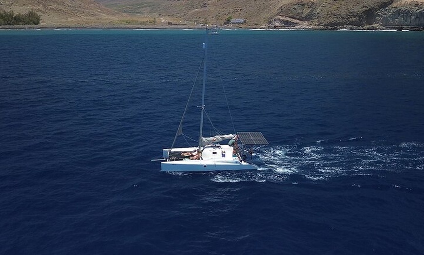 Image 24: Excursiones ecológicas en Catamarán en Gran Canaria