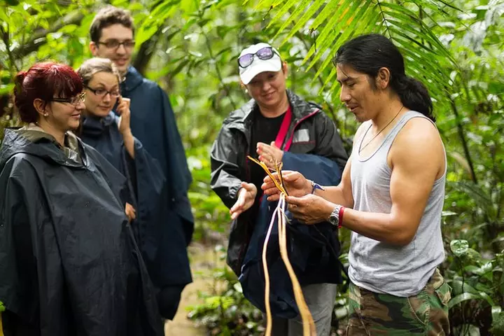 Waterfall, Rainforest, Chocolate Tour & Historical Sites