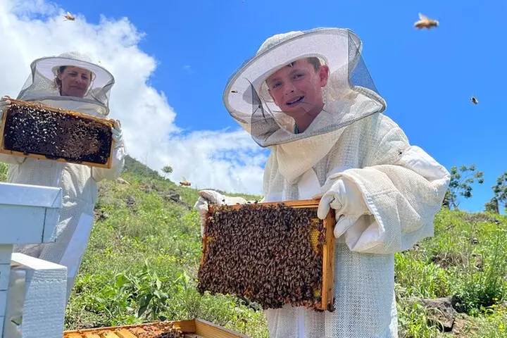 Honey Bee Adventure at the Maui Honey Bee Sanctuary