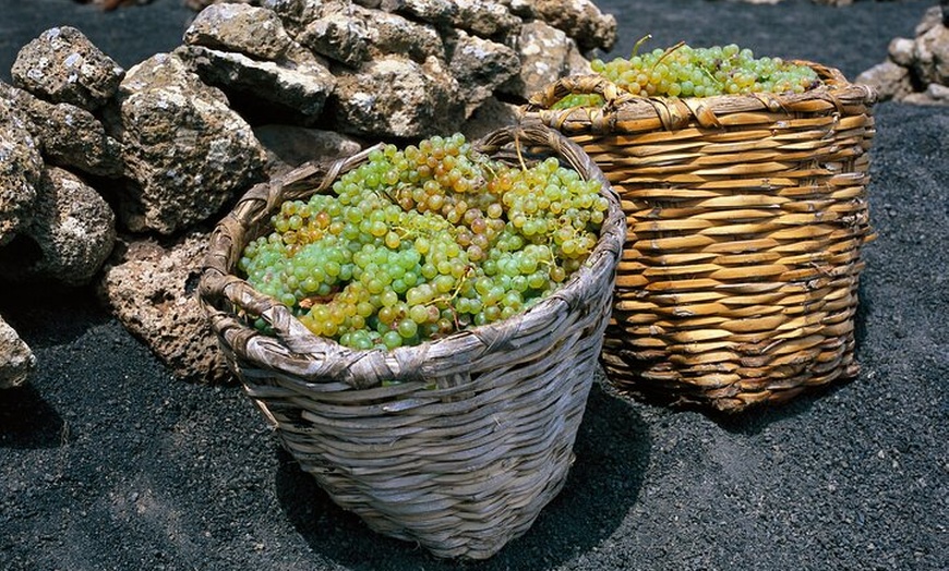 Image 5: Recorrido a pie de medio día para grupos pequeños por los viñedos d...