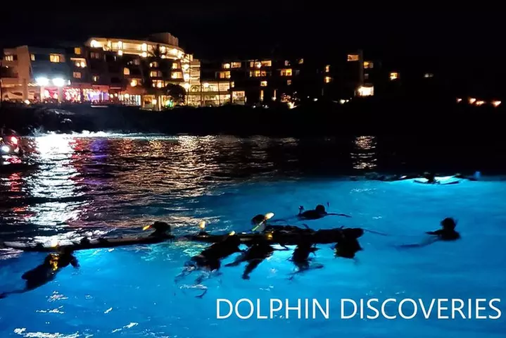 Manta Ray Night Snorkel at Kona, Big Island