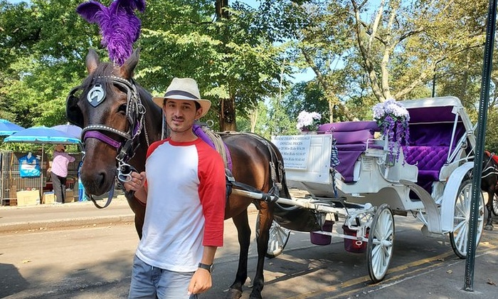 central park carriage ride groupon