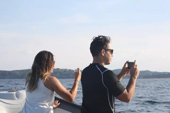 Whale Watching Terrigal