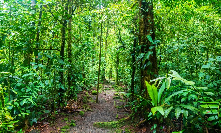 Image 7: ✈ COSTA RICA | Da San José a Manuel Antonio - Les Merveilles du Cos...