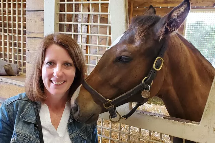 Unique Horse Farm Tours with Insider Access to Private Farms