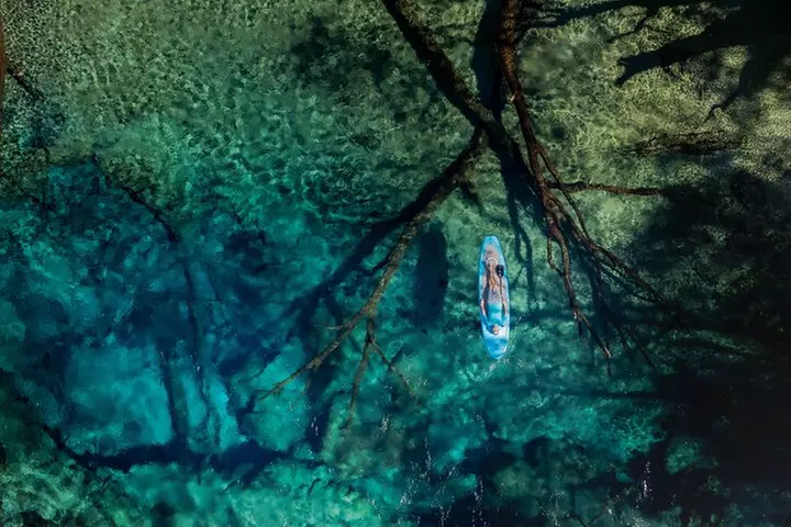 Cypress Springs Eco Adventure - Primary Image