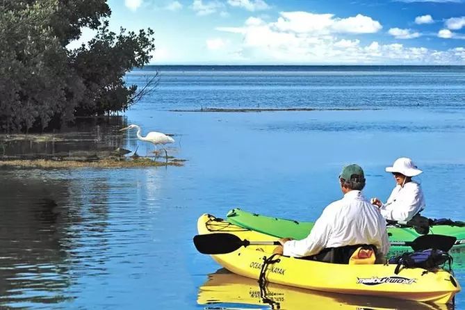 Backcountry Kayak and Paddleboard Tours - Primary Image